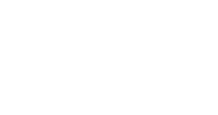 Aerospace Federation